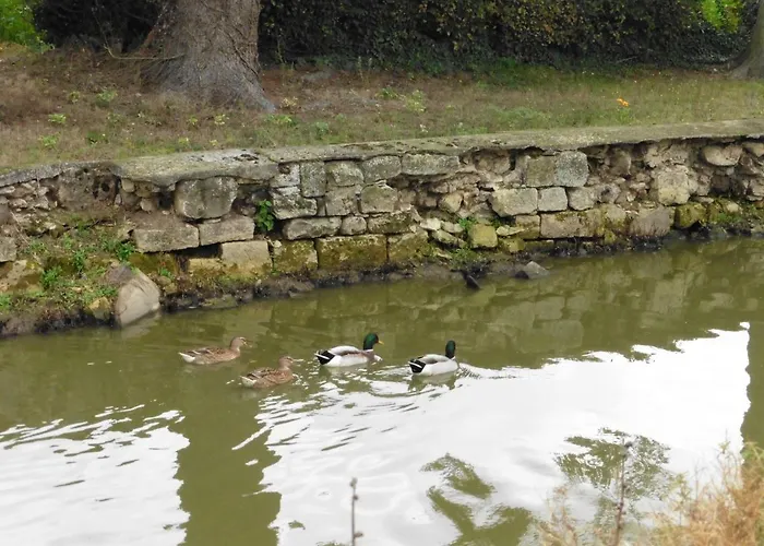 La Maison D'edouard *